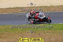 19 ducati